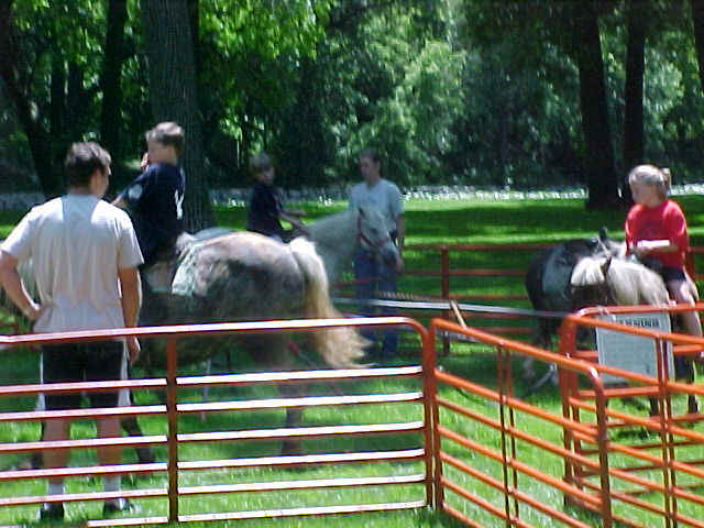 ponies by the fox river st. charles, il